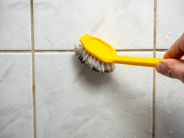 Best Mold Remediation for Specific Building Types in Jamestown West, NY