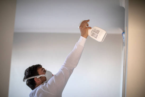 Best Residential Mold Remediation in Jamestown West, NY