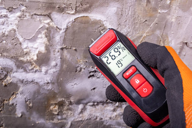 Professional Mold Remediation in Jamestown West, NY